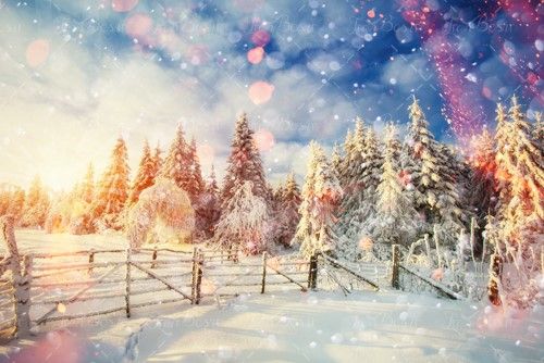 حصار چوبی برف روی درخت زمستان 