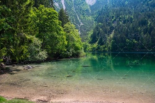 آب زلال کوه جنگل چشم انداز طبیعت 