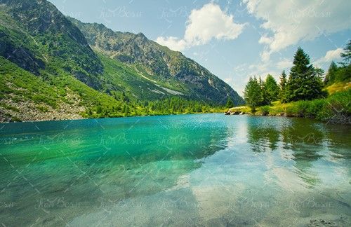 دریاچه کوه پوشش گیاهی ابر سفید 