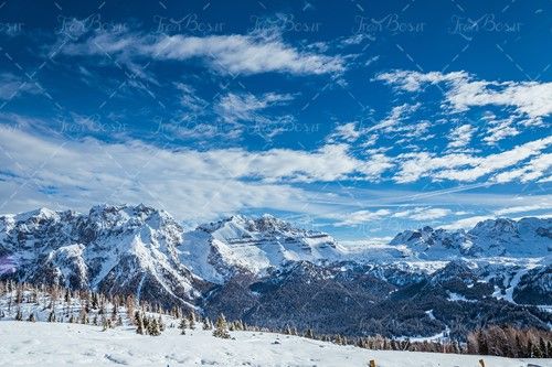 برف کوهستان آسمان آبی درخت 