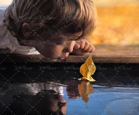 کودک بچه آب برگ روی آب برگ درخت 