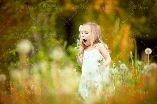 دختربچه  کودک گل قاصدک طبیعت 