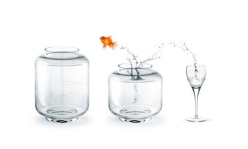 ماهی پرنده پاشیدن آب تنگ ماهی 