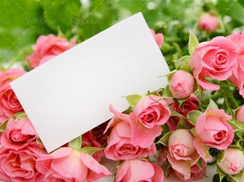 دسته گل طبیعی صورتی کارت تبریک1 
