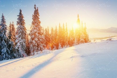نور آفتاب نور خورشید برف زمستان 
