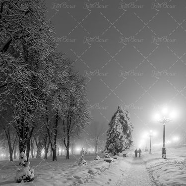 هوای برفی شب راه باریک نور چراغ 