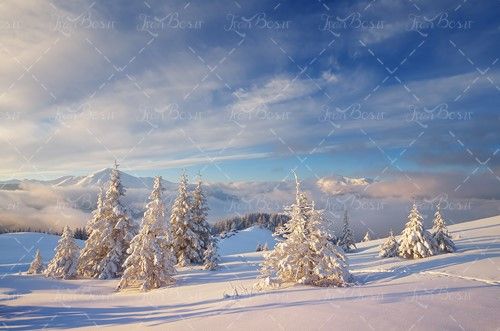 برف کوه کوهستان درخت پوشیده از برف
