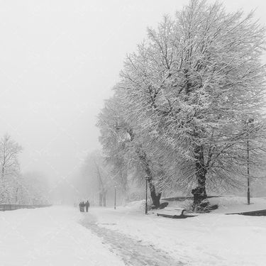 جاده درخت آسمان ابری هوای برفی 