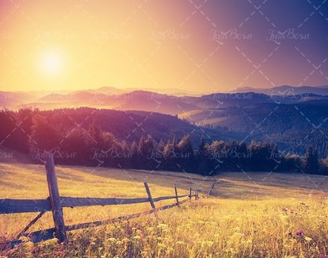 حصار چوبی مزرعه علفزار نور خورشید 