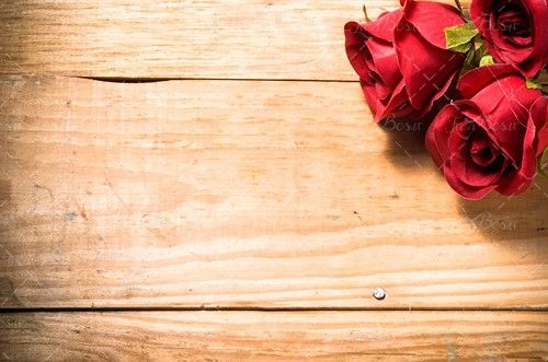 تخته چوب گلفروشی گل رز قرمز 
