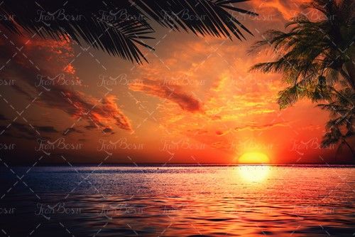 غروب آفتاب غروب دریا آب منظره درخت 