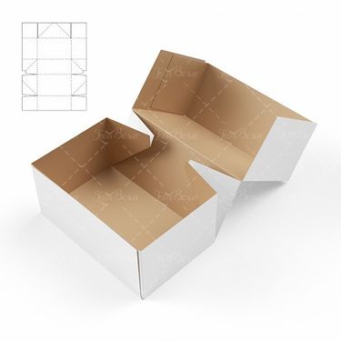 تولید کارتن تولید جعبه کفش کارتن سازی