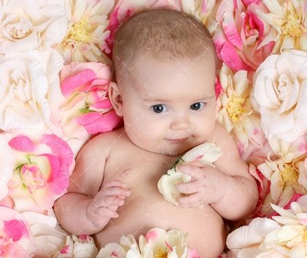 کودک خوابیده در بین گل ها نوزاد بچه 