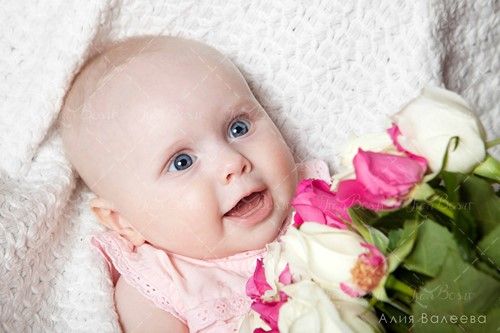 دسته گل رز کودک نوزاد بچه خردسال 