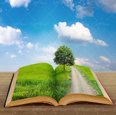 کتاب درخت آسمان آبی چمنزار ابر سفید