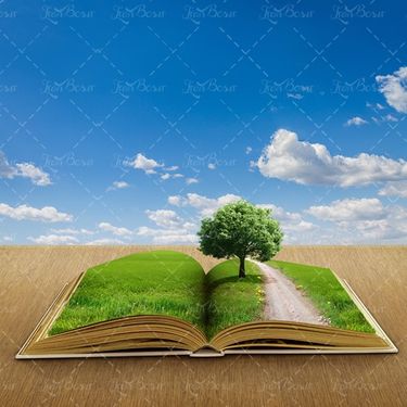 کتاب باز جاده خاکی درخت چمنزار 