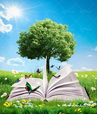 کتاب باز درخت پروانه علفزار چمنزار 