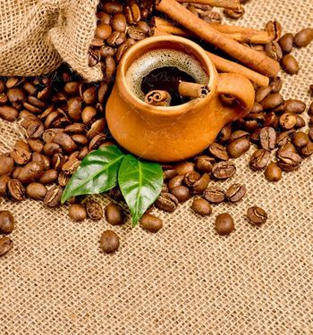 قهوه نوشیدنی داغ چوب دارچین کیسه 