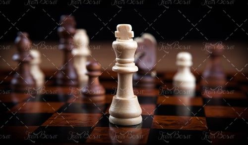 بازی شطرنج ورزش شطرنج