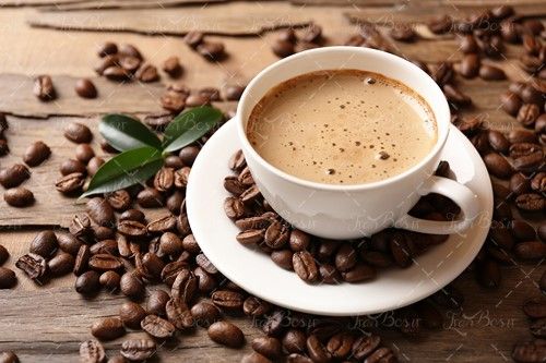 برگ قهوه نوشیدنی داغ فنجان قهوه