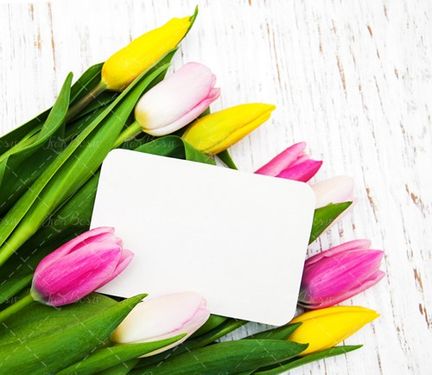 کارت تبریک خالی دسته گل 