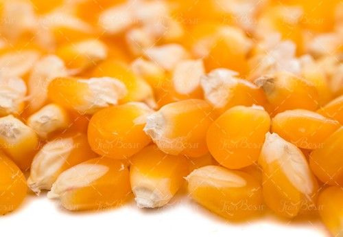 ذرت دانه شده میوه سرا سوپر میوه 