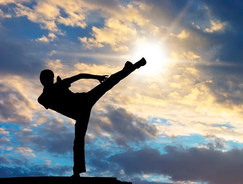 مبارز هنرهای رزمی تکواندو کاراته
