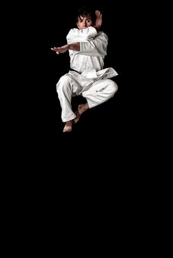 مبارز هنرهای رزمی تکواندو کاراته 5