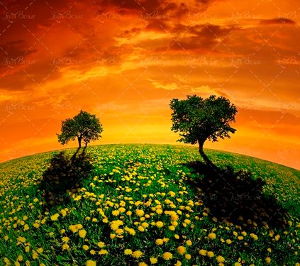 تصویر زمینه سبز  زمین 