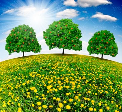 بکگراند درخت سیب قرمز 