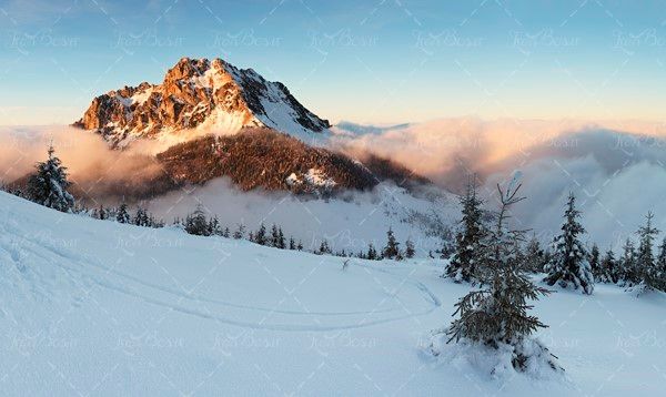 طبیعت زمستان  جنگل کوه