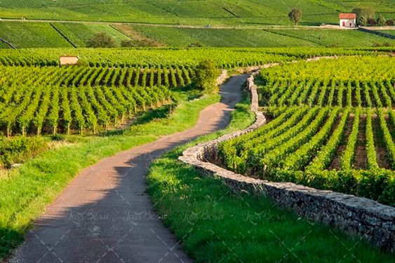 تابستان منظره چشم انداز 