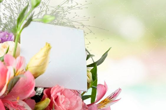 گل دسته گل کارت پستال 