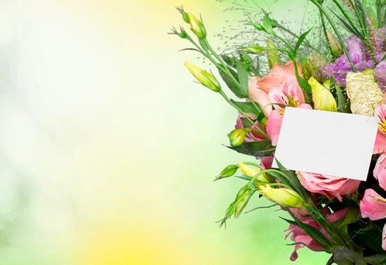 گل دسته گل، گل صورتی 