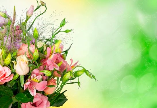 گل دسته گل، گل صورتی1 