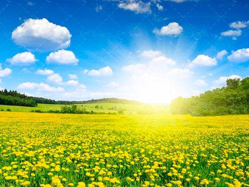 بهار، تابش خورشید طبیعت زیبا