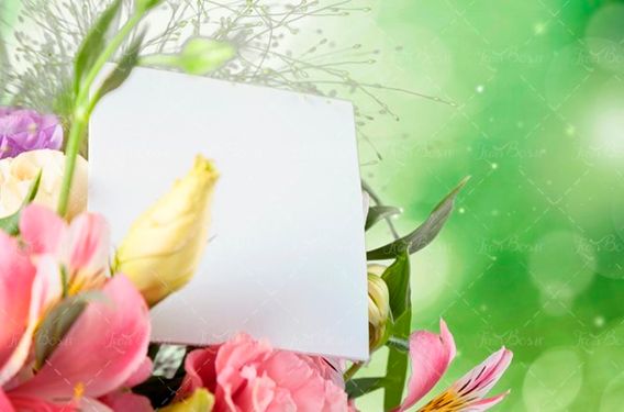 گل، دسته گل با کارت تبریک 