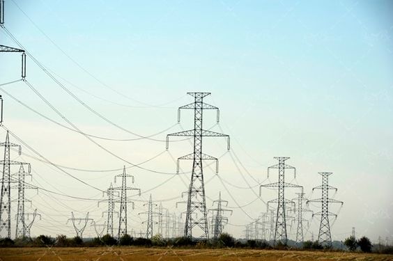 باشگاه اسب دوانی اسب سواری 