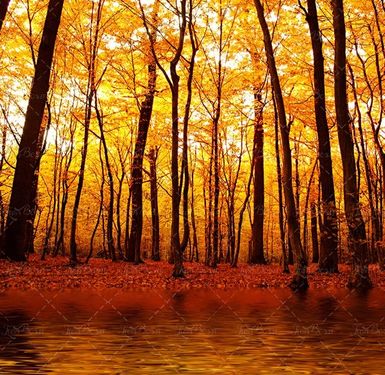 پاییز منظره طبیعت چشم انداز 1