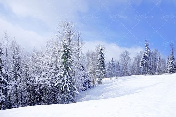 زمستان منظره طبیعت چشم انداز2