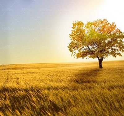 چشم انداز پاییزی منظره1 