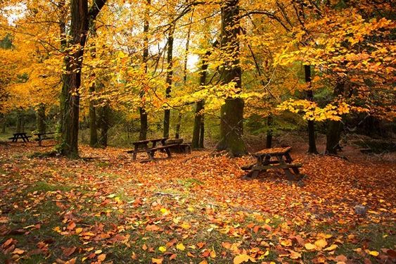 چشم انداز پاییزی منظره5 