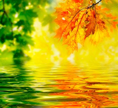 چشم انداز پاییزی منظره17