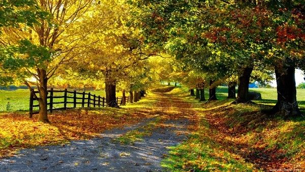 جاده پاییزی ،منظره 