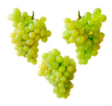 خوشه انگور سفید میوه فروشی 