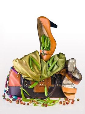 بوتیک کیف کفش زنانه 