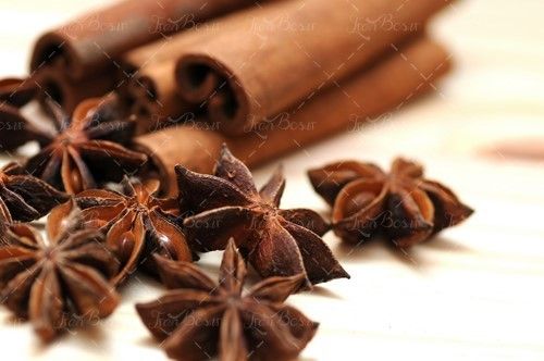 آجیل فروشی میوه خشک شده 