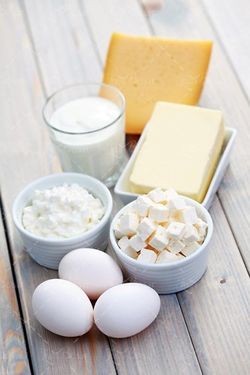 شیر دوغ پنیر کره لبنیات 