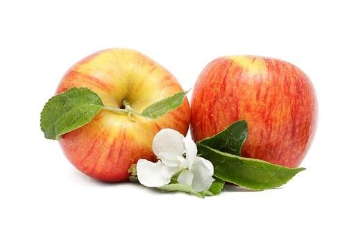 شکوفه سیب سیب سرخ 