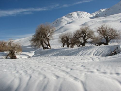طبیعت زمستان ایران 6